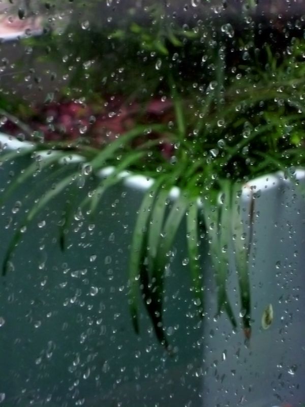 "LLueve en Crdoba." de Tesi Salado