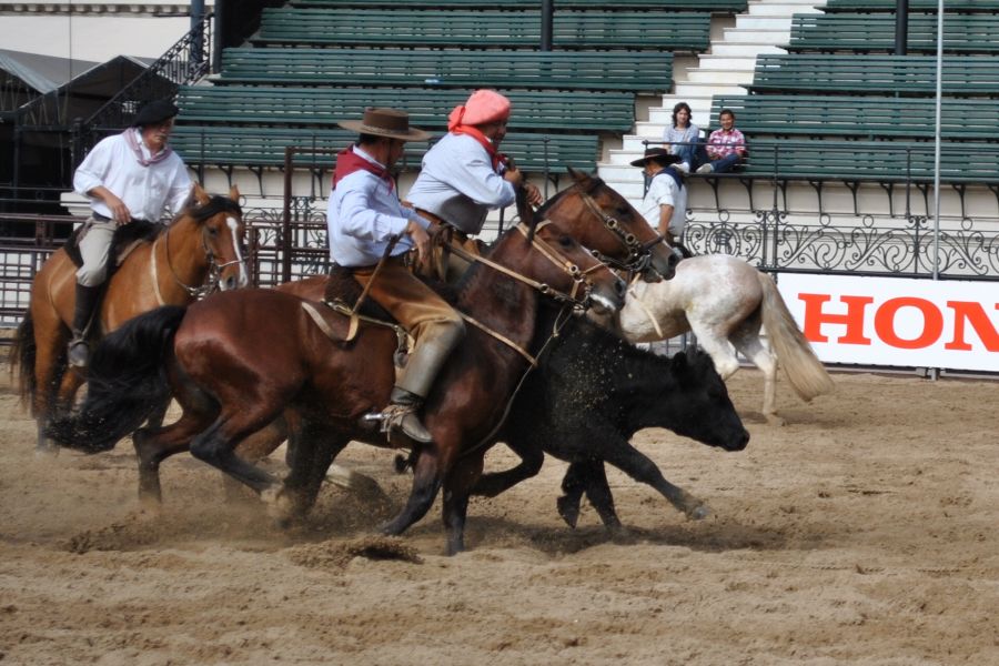 "RODEO" de Hugo Carballo (oxido)