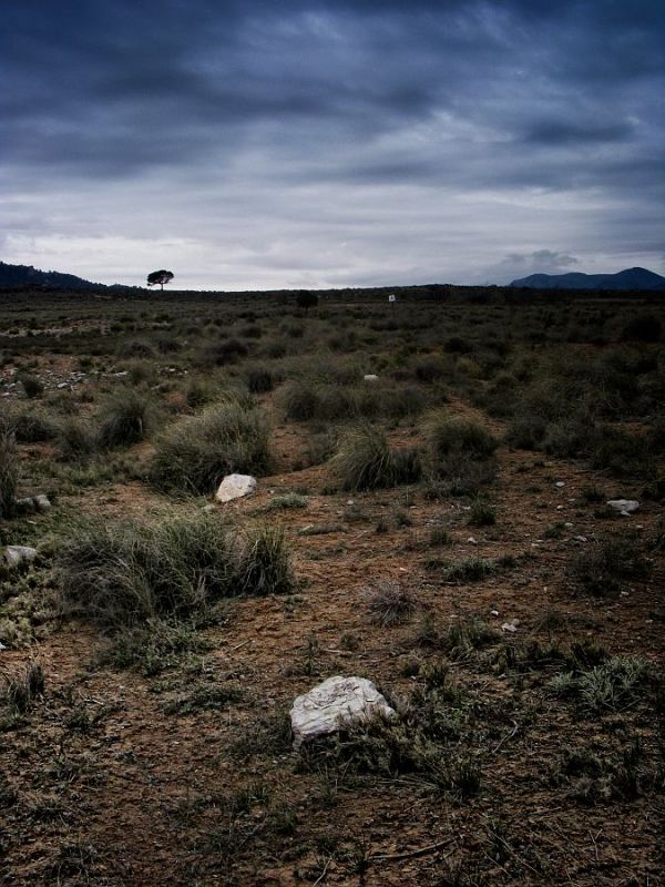 "Piedras guia" de Francisco Jos Cerd Ortiz