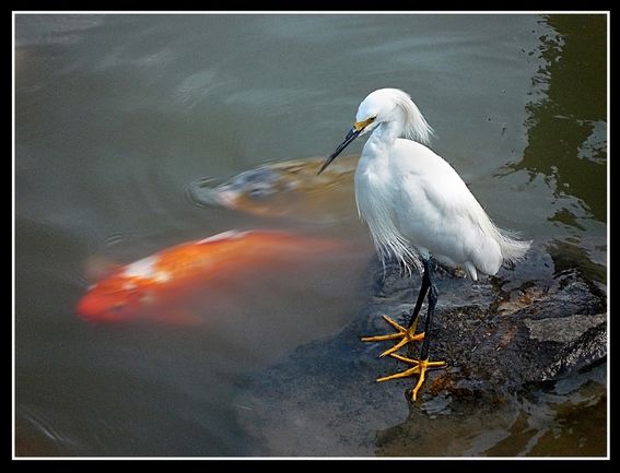 "El guardian" de Ricardo S. Spinetto