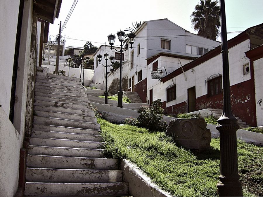 "Coquimbo" de Carlo Donnari