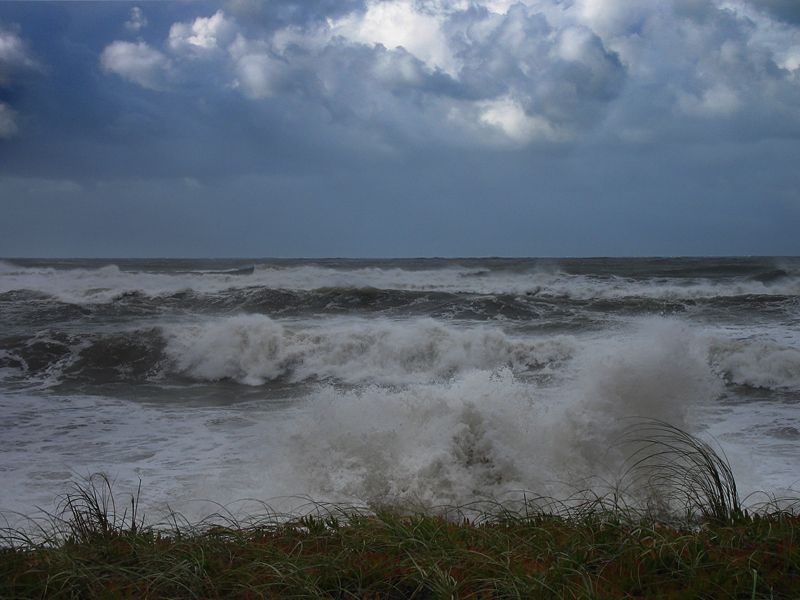 "Tempestad" de Eli - Elisabet Ferrari