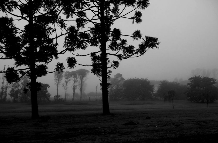 "niebla al amanecer" de Noemi Gomez