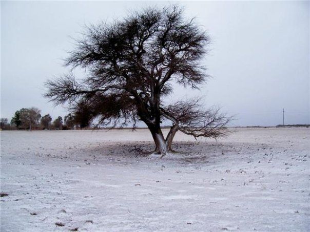 "` Soledad `" de Marcelo Sepulveda