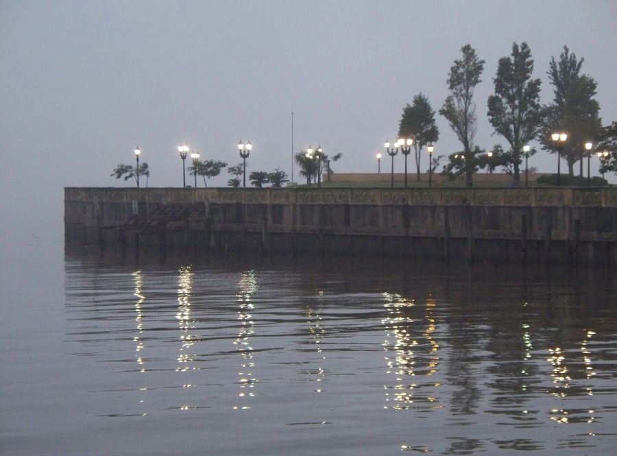 "Niebla" de Alberto Daniel Frete