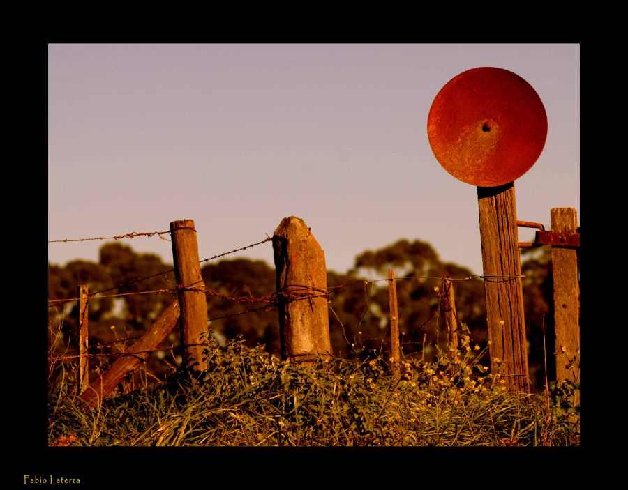 "Antena" de Fabio Alejandro `Chipi` Laterza