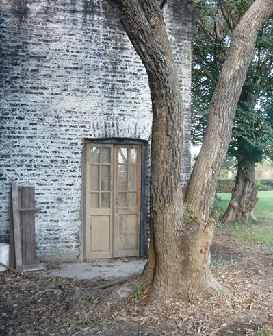 "The door" de Alejandro Olivares