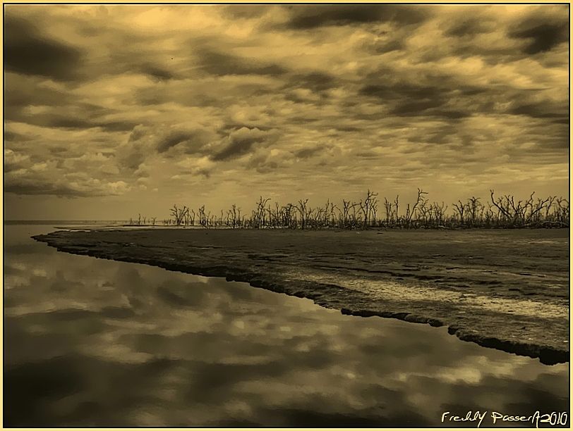 "ENTRE EL CIELO Y LA TIERRA......" de Freddy Passera