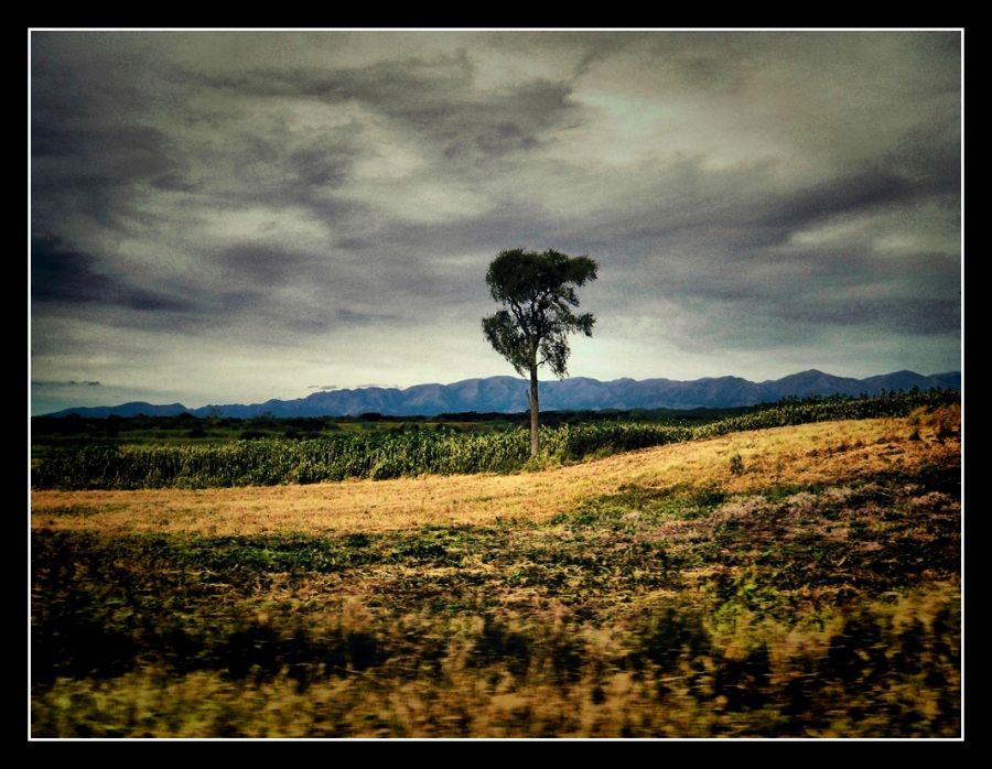 "desolacin" de Ral Riba