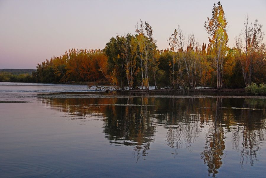 "`Otoo en Limay`" de Jorge A. Cceres