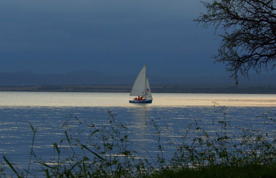 "Velero" de Raquel Perazo