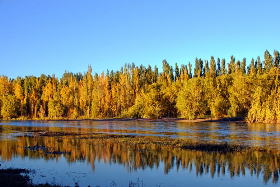 "`Otoo en el Limay`" de Jorge A. Cceres