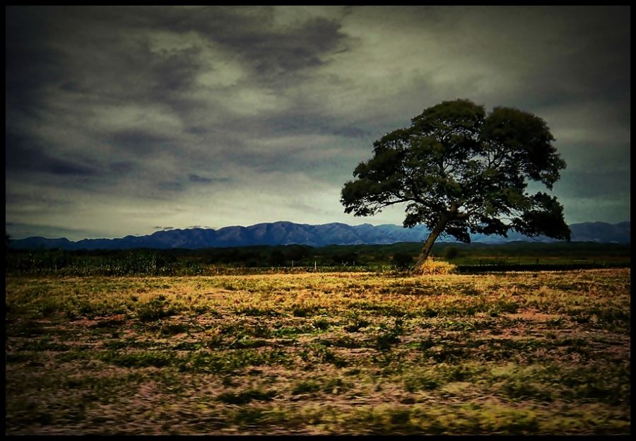 "soledad" de Ral Riba