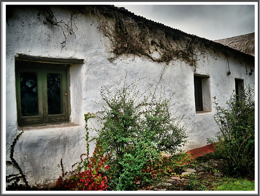 "las ventanas" de Ral Riba