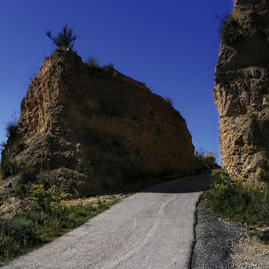 "Camino y cresta" de Francisco Jos Cerd Ortiz