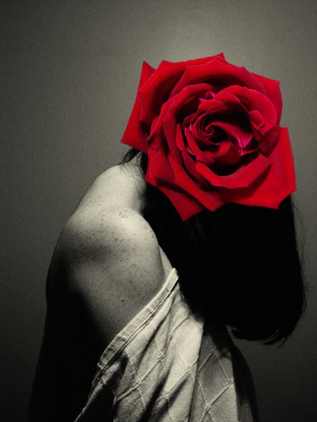 "Mi rosa" de Pablo R Suarez