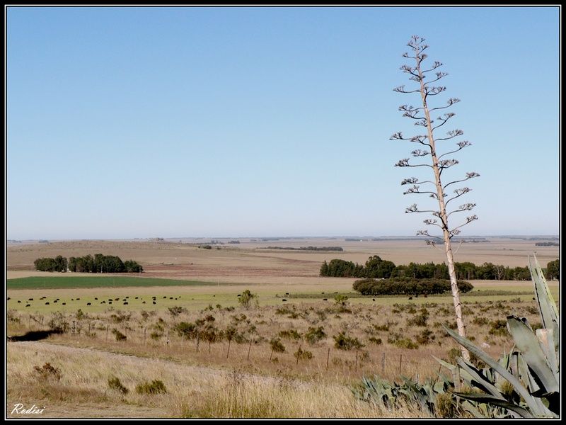 "El horizonte..." de Roberto Di Siervi