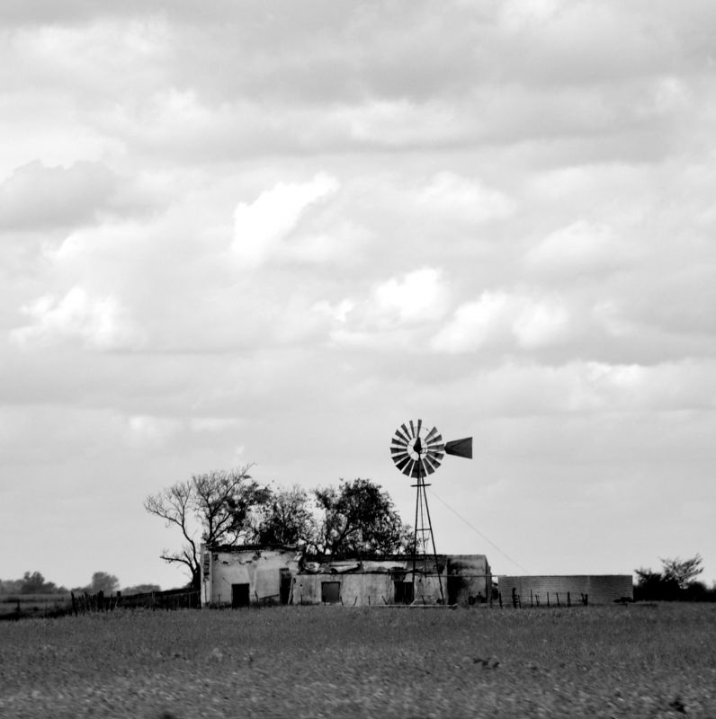 "de campo, al paso" de Liliana Prez