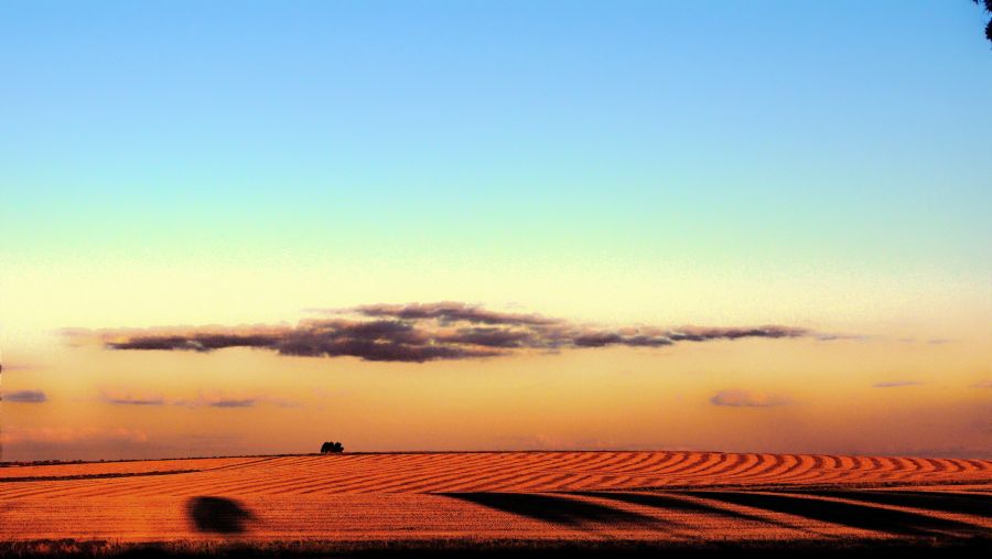 "Campo con sombras largas" de Arturo Rey