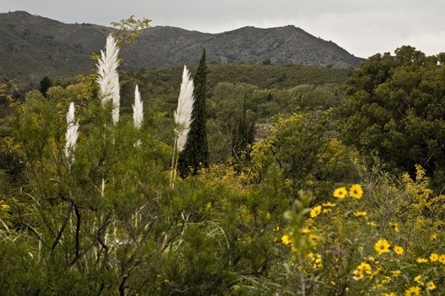 "otoo en las sierras" de Gustavo Andino