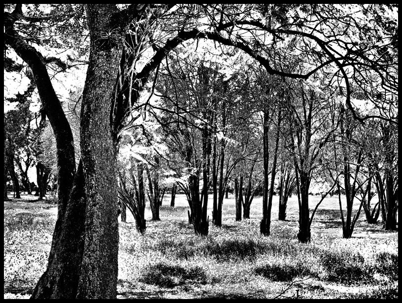 "Otoo-Invierno" de Ral Riba