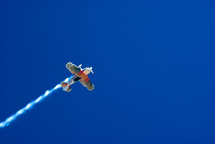 "Blue Sky" de Hernan Puig