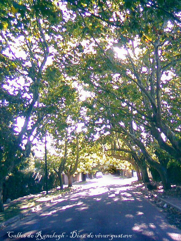 "Calles de ranelagh - diaz de vivar gustavo" de Gustavo Diaz de Vivar