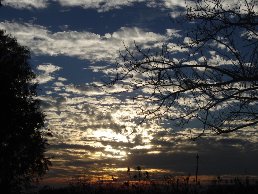 "Ocaso de mayo" de Alma Delia Franco Cacho