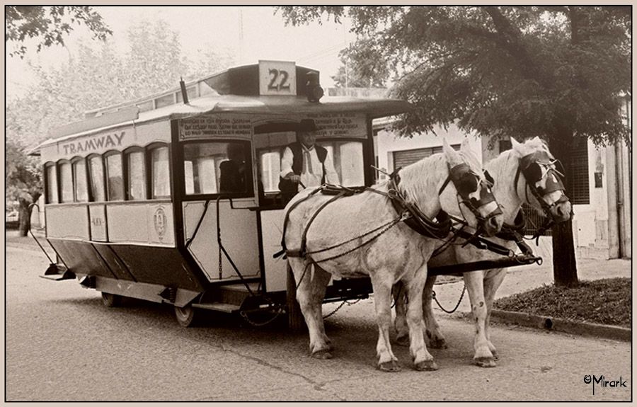 "TRANWAY" de Mirta Steinberg