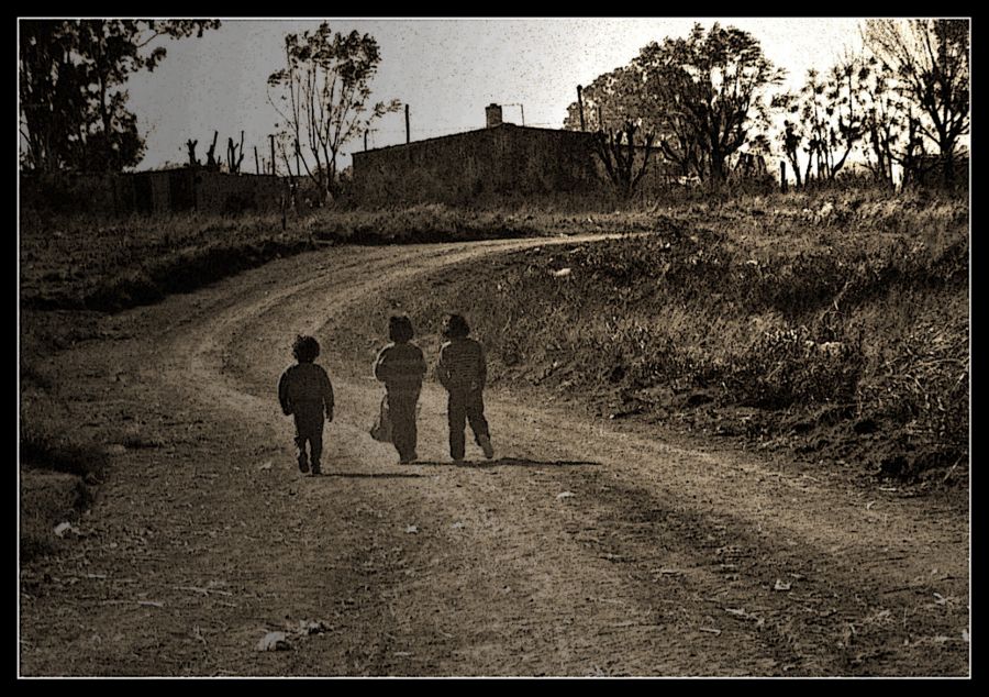 "Por el camino de la vida." de Dante Murri