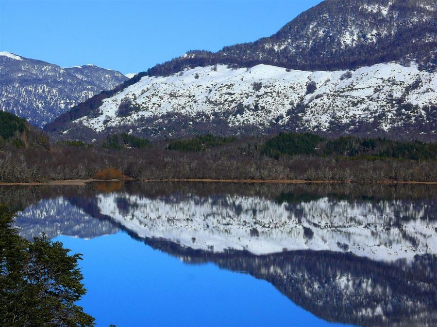 "Reflejo en el Machnico" de Mario Abad