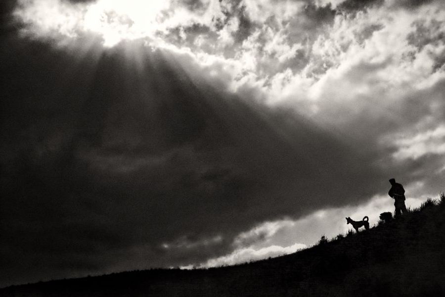 "Cazador de cielos" de Francisco Jos Cerd Ortiz