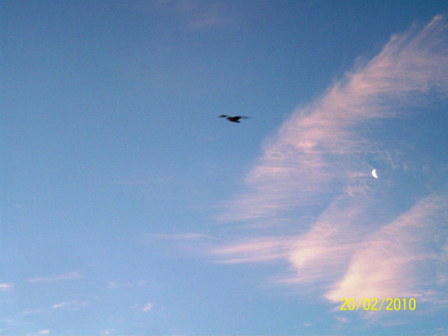"Nubes y Luna aprendiendo a volar..." de Luis Barbizzotti