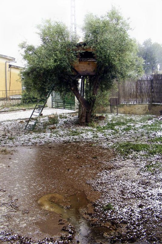 "casa del olivo" de Francisco Jos Cerd Ortiz