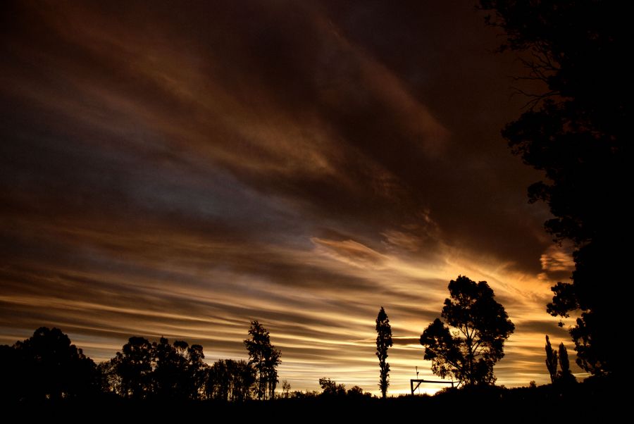 "`Otro cielito ms`" de Jorge A. Cceres