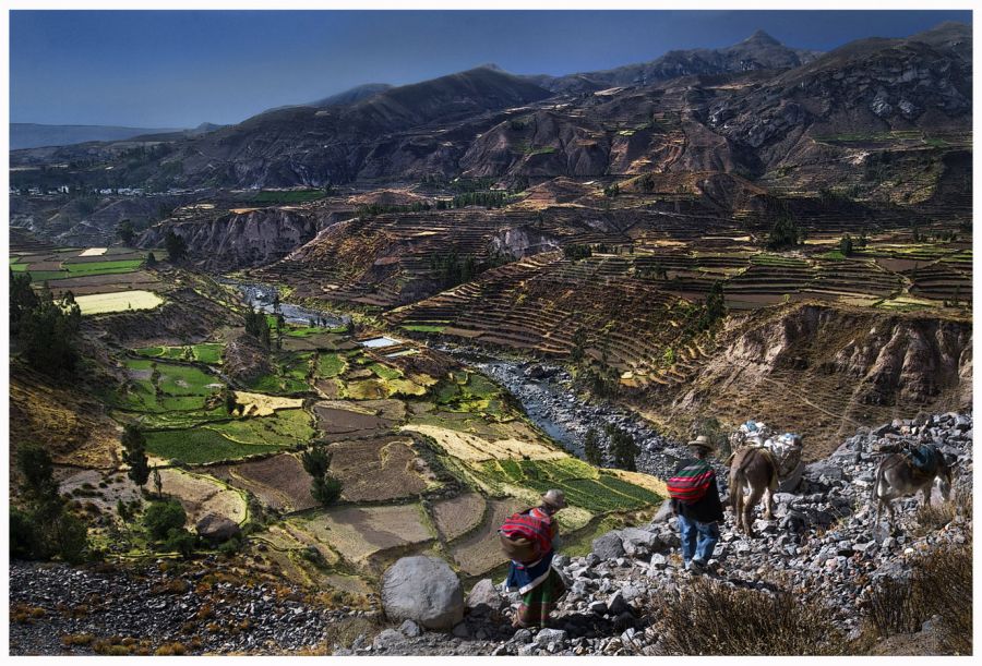 "Lugareos en el Caon del Colca, Per" de Horacio Jorge Iannella