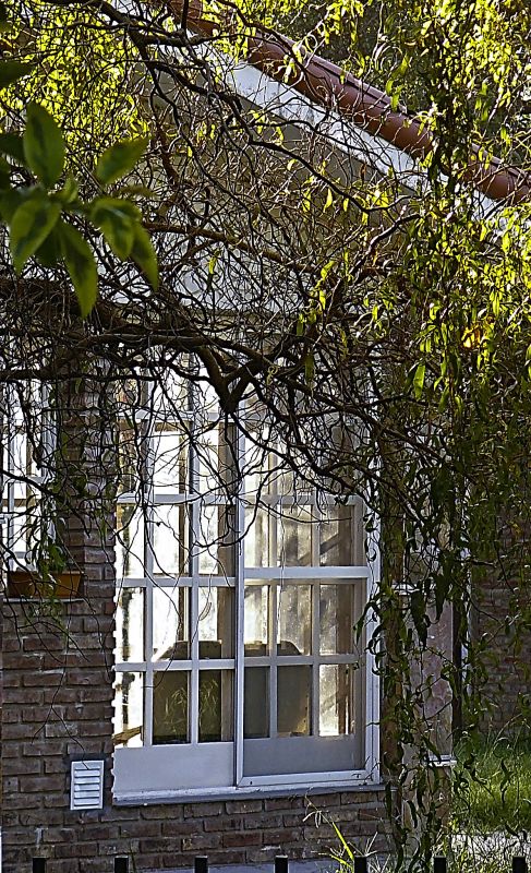 "La ventana al jardin" de Nora Lilian Iturbide ( Noral )