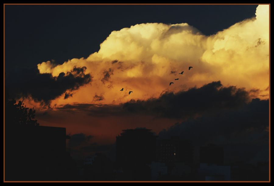 "Nubes de Parque Chas" de Maria Cristina Silva