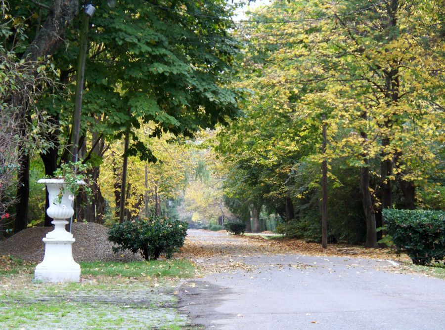 "Camino a ......" de Alberto Daniel Frete