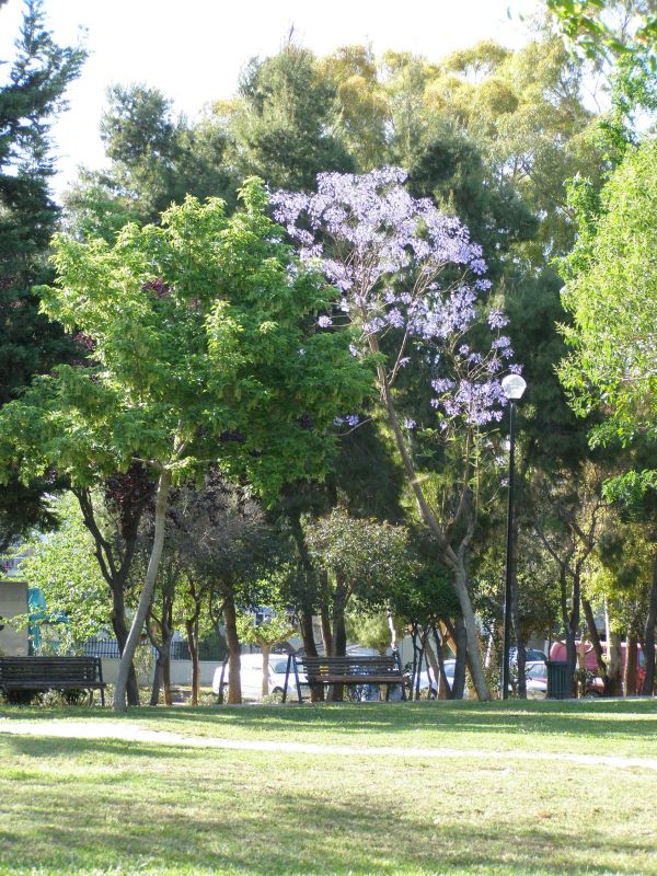 "el parque" de Victor Houvardas