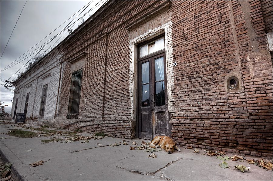 "Esperando ..." de Walter Belfiore