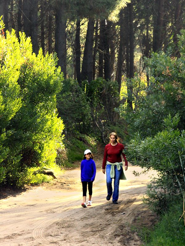 "Caminar juntas en el bosque" de Eli - Elisabet Ferrari