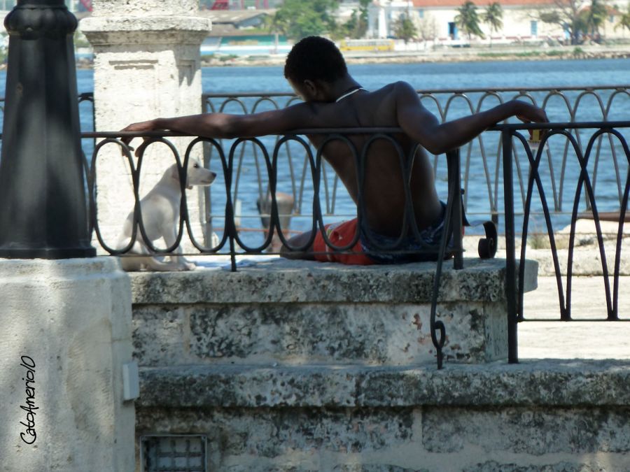 "Blanco y Negro en el malecon" de Carlos Amerio (cato)