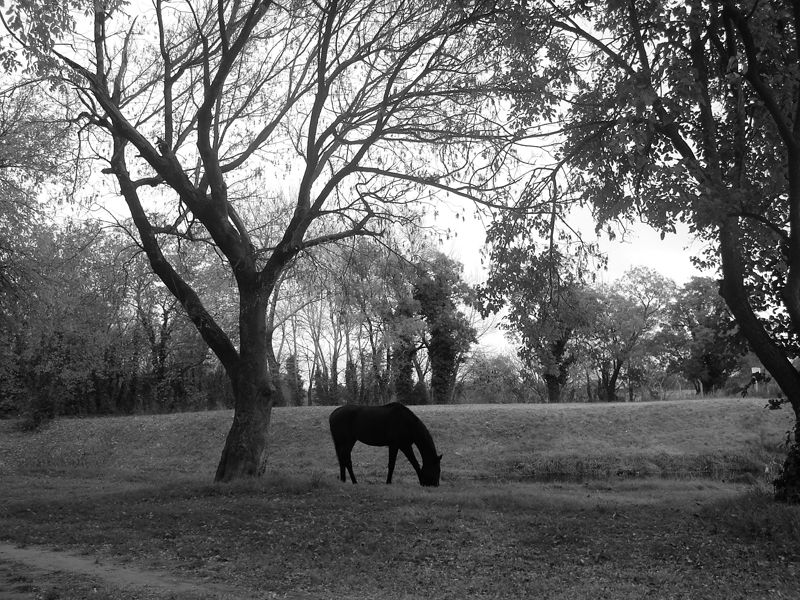 "En el parque" de Eli - Elisabet Ferrari