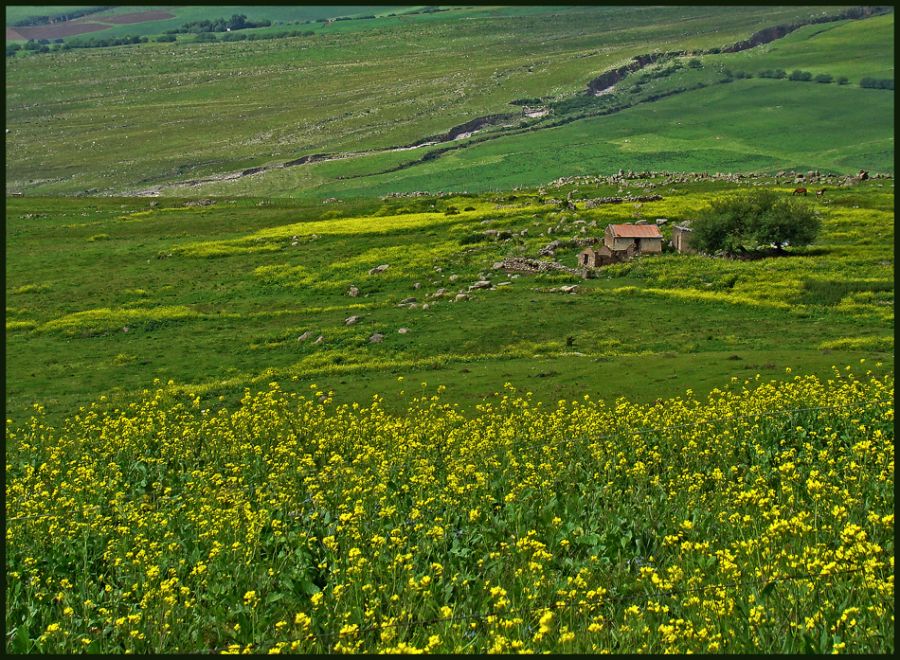 "Paisaje serrano III" de Ruben Perea