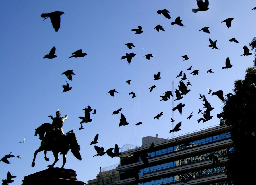 "Paseo por la Plaza San Martn" de Cecilia Serrano