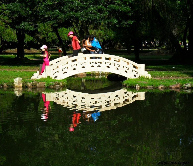 "DOMINDO EL PARQUE" de Anglica Pegas