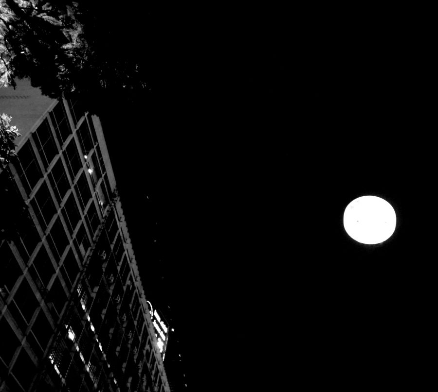 "noche de luna" de Noemi Gomez