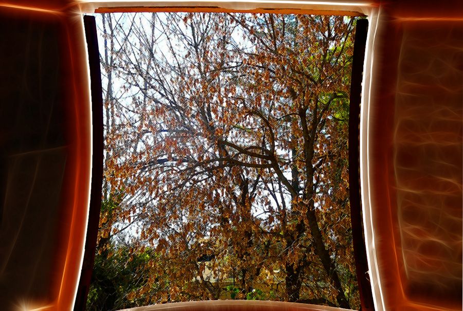 "Una ventana para el otoo" de Nora Lilian Iturbide ( Noral )