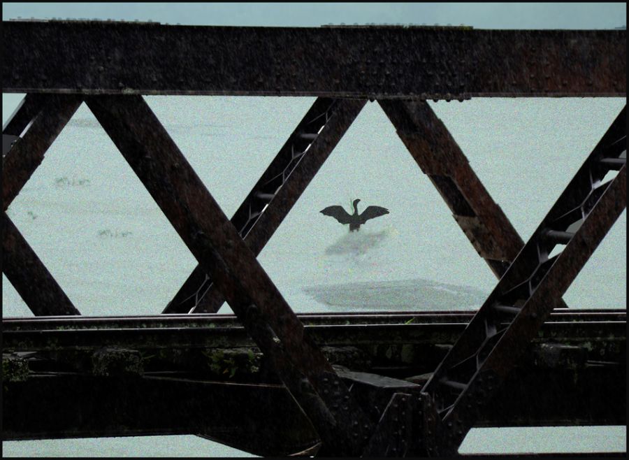 "Desde el puente" de Ruben Perea
